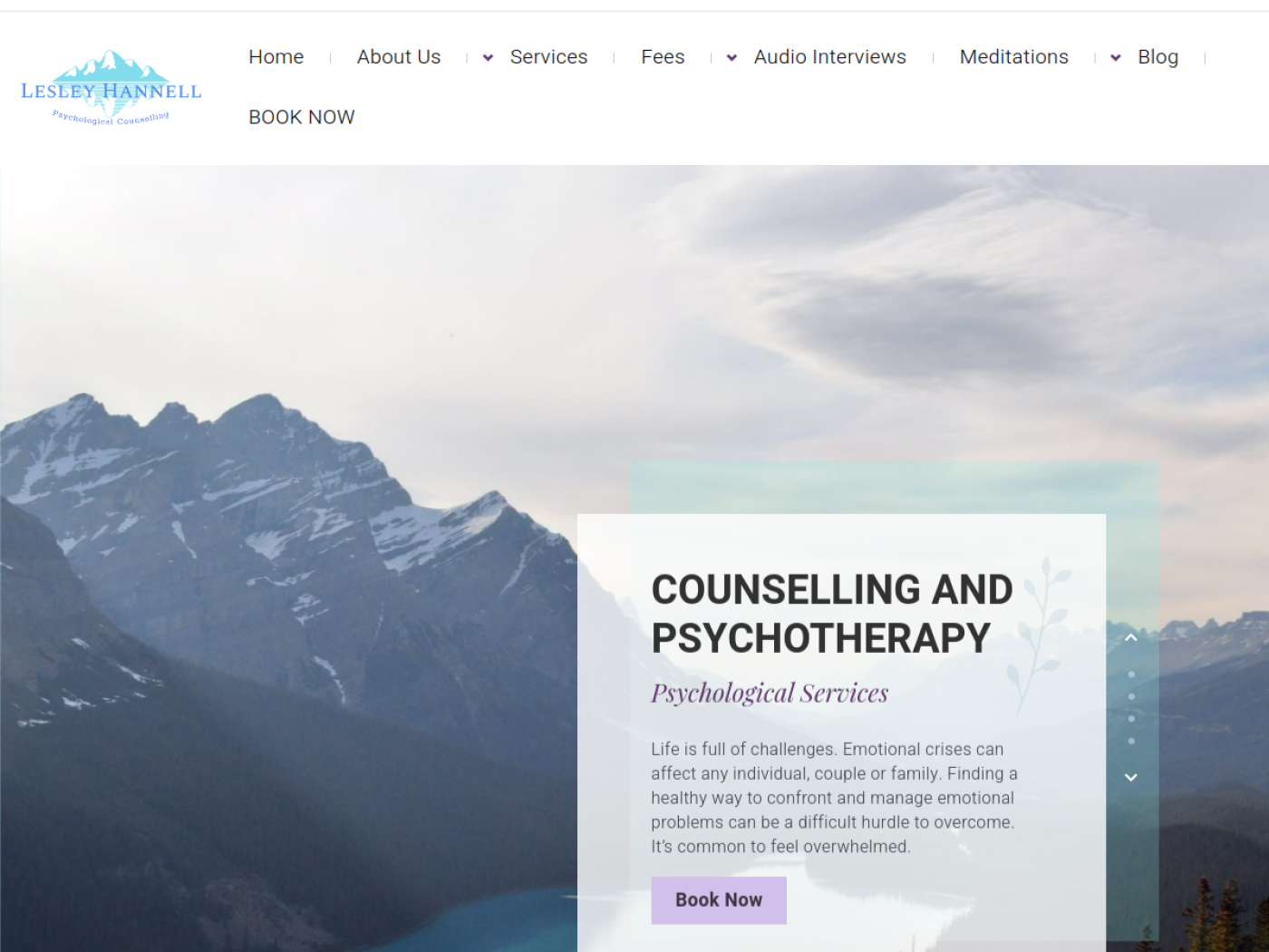 Lesley Hannell website homepage screenshot